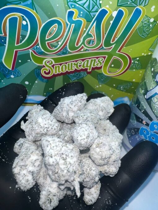 Persy Snowcaps Pound Box - 16 One Ounce Containers (Candy Edition)